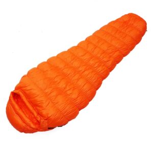 mummy sleeping bag (1)